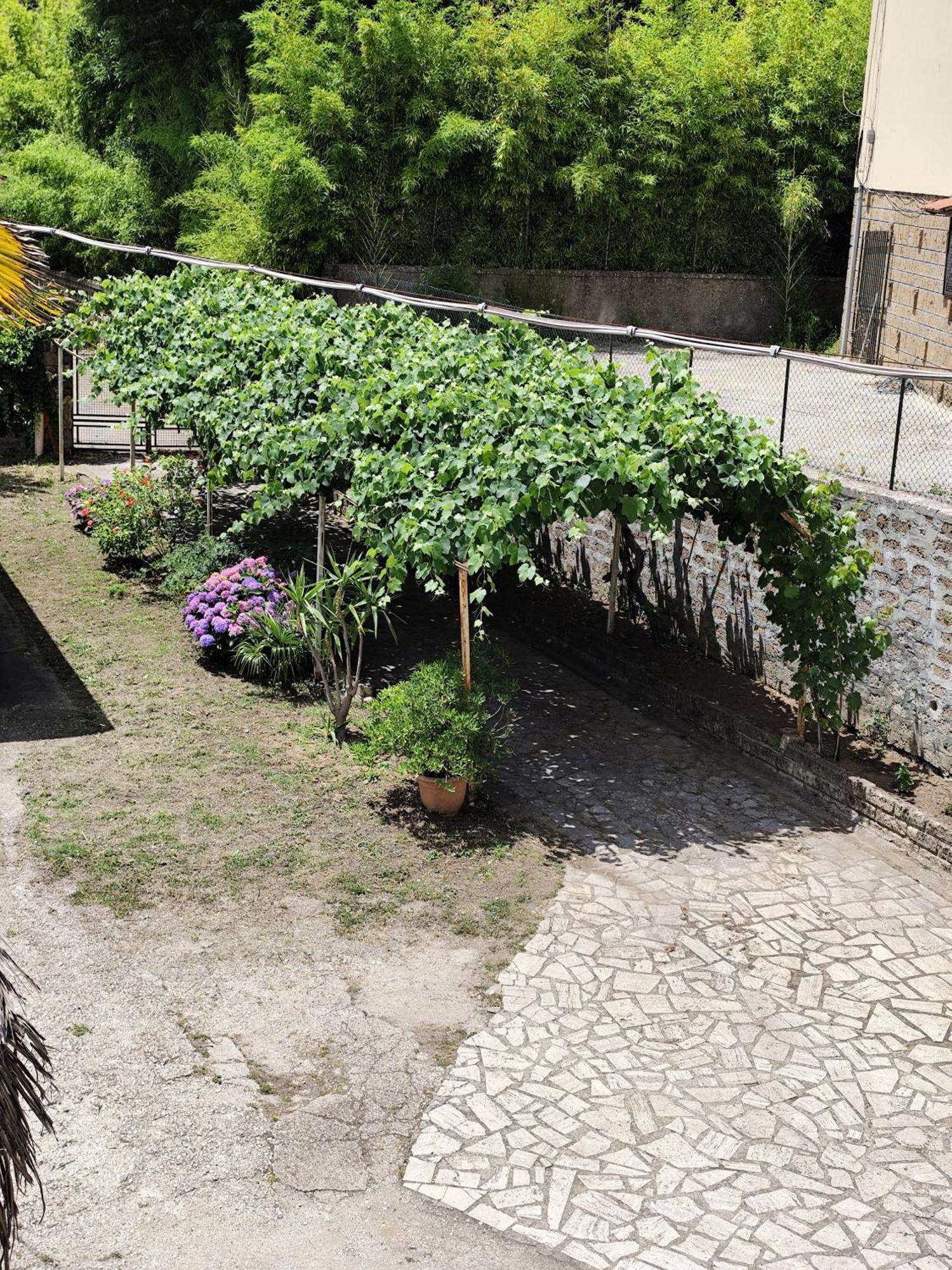 La Casina Di Karol Apartment รอนชิโญเน ภายนอก รูปภาพ